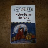 Französische Bücher: Notre-Dame de Paris