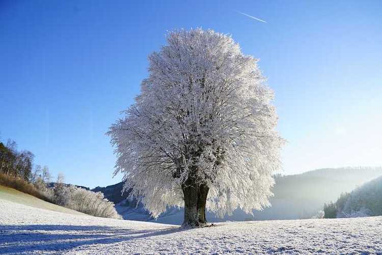 Winter time - eine der Jahreszeiten auf Englisch
