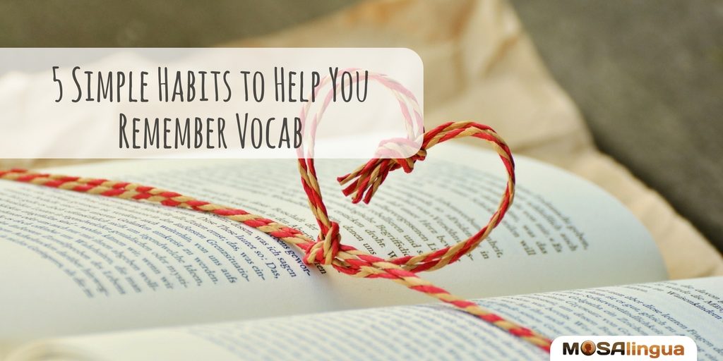 habits to help you remember vocab