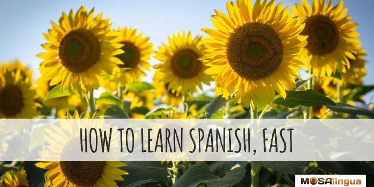 learn spanish fast sunflowers mosalingua