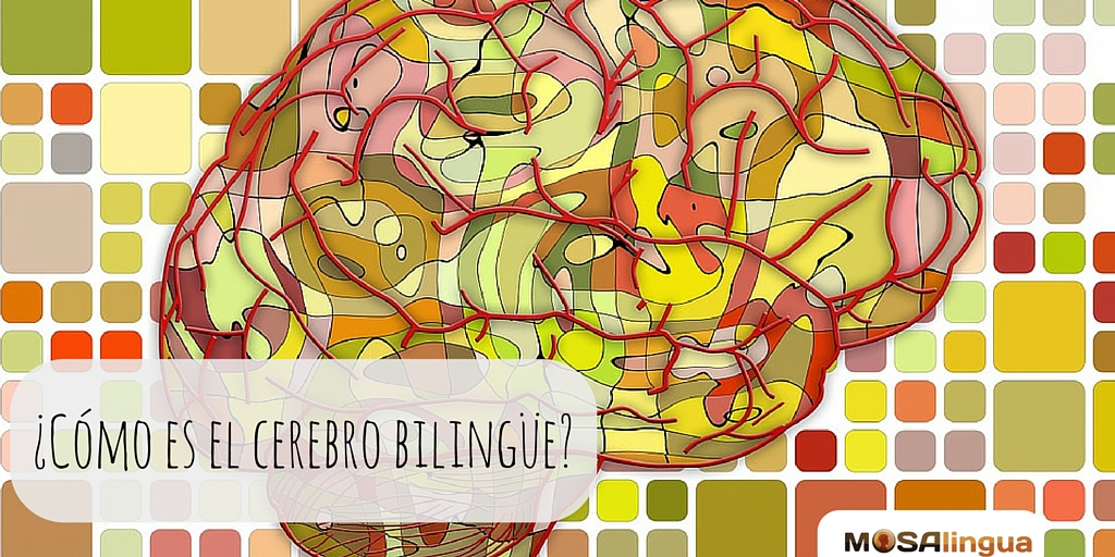 ES- Cambios en el cerebro y bilingüismo (1)