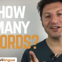 Cuántas palabras hace falta saber para hablar un idioma