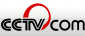 cctv_logo.png