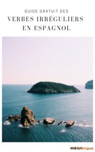 couverture ebook verbes irréguliers en espagnol